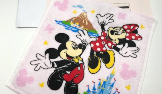 東京ディズニーランドのアンケートに答えたら記念品が届いたよ【2020年版】