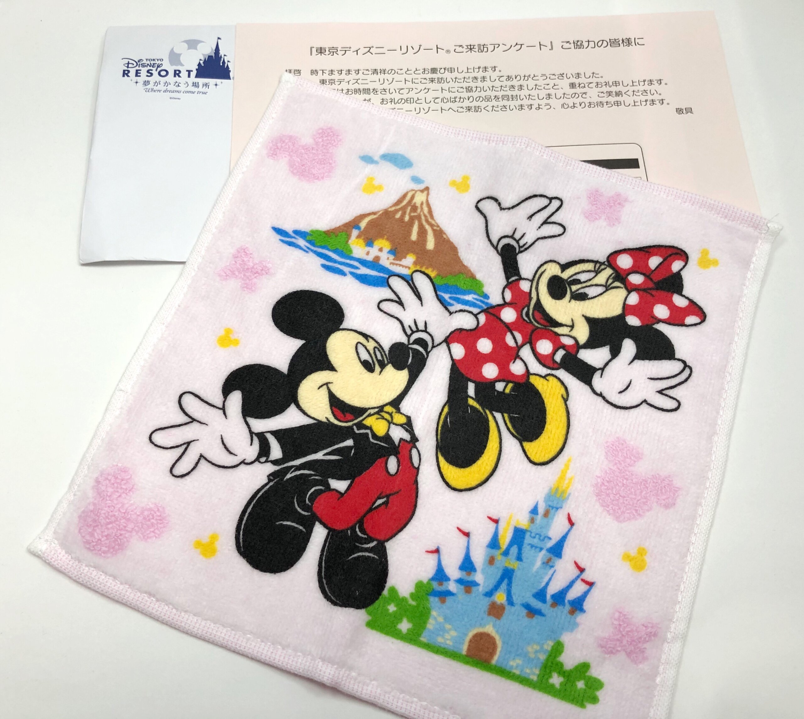 東京ディズニーランドのアンケートに答えたら記念品が届いたよ 年版 Disney Seasons